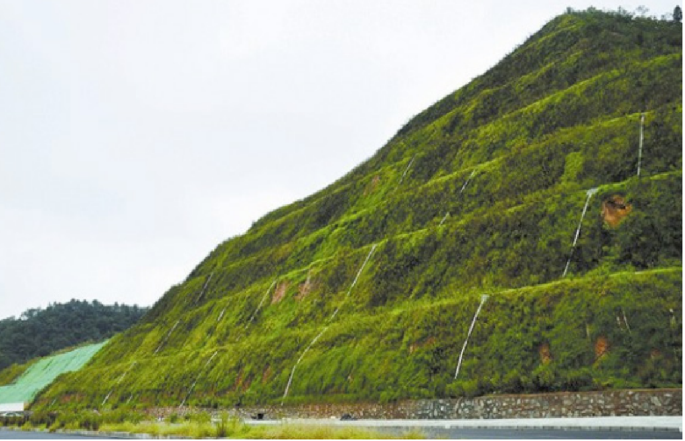 海綿體植物修復(fù)生態(tài)護(hù)坡