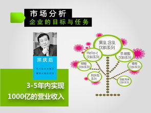 激活品牌新活力 娃哈哈2013-2016年度市場(chǎng)營(yíng)銷(xiāo)策劃方案