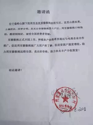 愛心傳遞周至 40萬斤獼猴桃滯銷待援，無聲老人與留守兒童的期盼