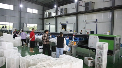 修文縣首個即食獼猴桃加工中心建成投用，開啟獼猴桃產業發展新篇章